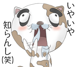 Crazy face of cat sticker #6344039