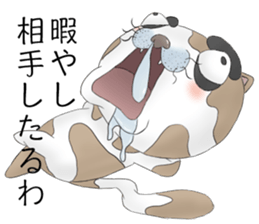 Crazy face of cat sticker #6344040