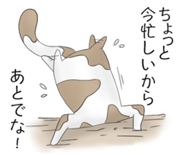 Crazy face of cat sticker #6344041