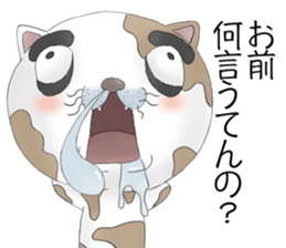 Crazy face of cat sticker #6344044