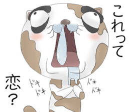 Crazy face of cat sticker #6344045