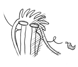 Octo & Squid sticker #6344511