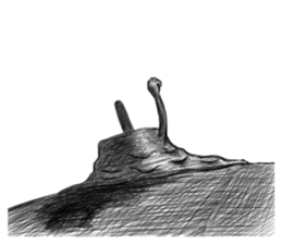 LOVE ICE CREAM STICKER sticker #6345247