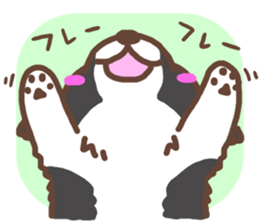 Let's play Borders! sticker #6348157