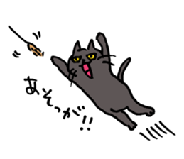 Funny cat & bunny from KAGOSHIMA 2nd sticker #6348273