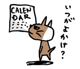 Funny cat & bunny from KAGOSHIMA 2nd sticker #6348275