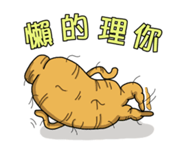 Amusing Mr.Ginseng 2 (Holiday greetings) sticker #6348502