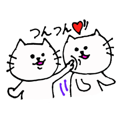 The interesting and cute cat