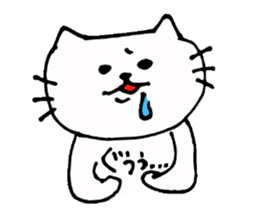 The interesting and cute cat sticker #6349581