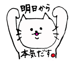 The interesting and cute cat sticker #6349592