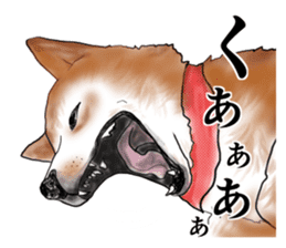 Japanese Shiba inu stickers! sticker #6349615