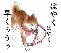 Japanese Shiba inu stickers! sticker #6349621
