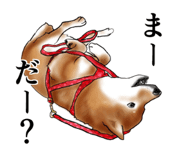 Japanese Shiba inu stickers! sticker #6349622