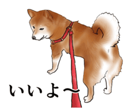 Japanese Shiba inu stickers! sticker #6349623