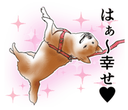 Japanese Shiba inu stickers! sticker #6349628