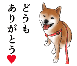 Japanese Shiba inu stickers! sticker #6349629
