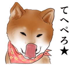 Japanese Shiba inu stickers! sticker #6349630
