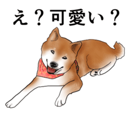 Japanese Shiba inu stickers! sticker #6349631