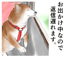 Japanese Shiba inu stickers! sticker #6349639