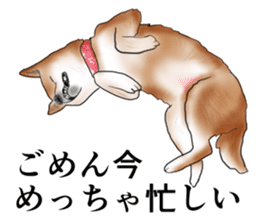 Japanese Shiba inu stickers! sticker #6349645