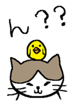 Sticker of up-angled eye cat sticker #6350855