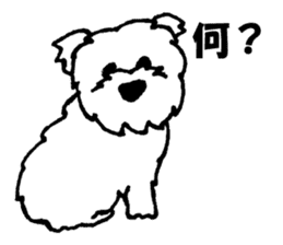 Mr. RI of a Maltese dog sticker #6350994