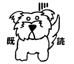 Mr. RI of a Maltese dog sticker #6351011