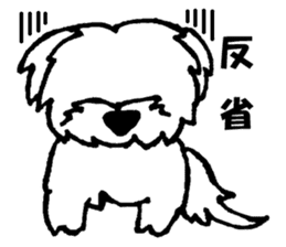 Mr. RI of a Maltese dog sticker #6351018