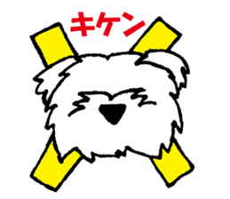 Mr. RI of a Maltese dog sticker #6351023