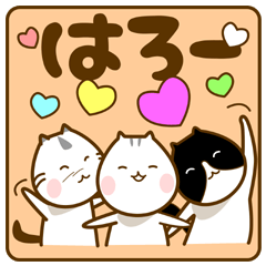 Cat of a family member