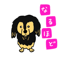 Miniature Dachshund, YAYOI sticker #6353027