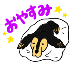 Miniature Dachshund, YAYOI sticker #6353031