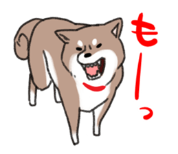Ms Hachiko sticker #6353402