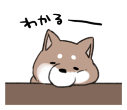 Ms Hachiko sticker #6353404