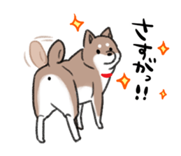 Ms Hachiko sticker #6353406