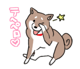 Ms Hachiko sticker #6353409