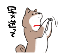 Ms Hachiko sticker #6353411