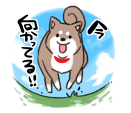Ms Hachiko sticker #6353420