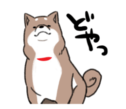 Ms Hachiko sticker #6353427