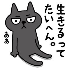 HIJIKI -gloomy cat -