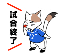 Cat to the soccer sticker #6354795