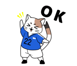 Cat to the soccer sticker #6354797