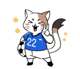 Cat to the soccer sticker #6354803