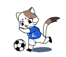 Cat to the soccer sticker #6354805