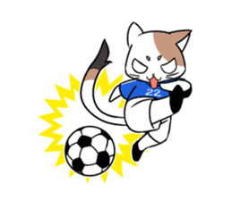 Cat to the soccer sticker #6354806