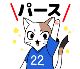 Cat to the soccer sticker #6354813