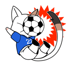 Cat to the soccer sticker #6354820