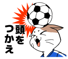 Cat to the soccer sticker #6354824