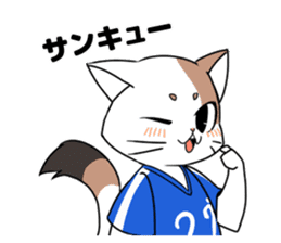Cat to the soccer sticker #6354827