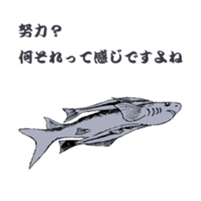 Japanese fish club sticker #6355238
